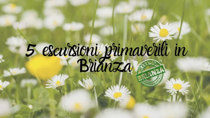 5 escursioni primaverili in Brianza