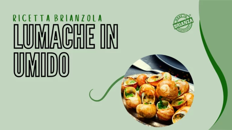 Lumache in umido