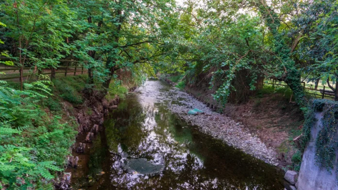 fiume seveso