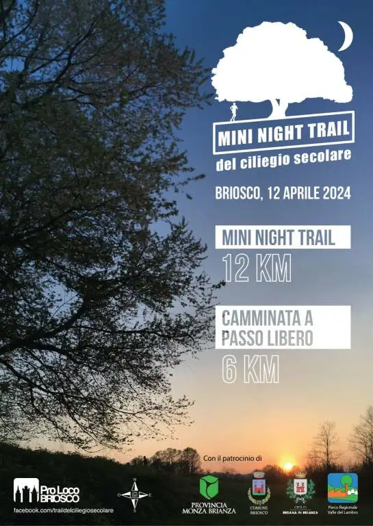 Entro Il 25 Marzo Cosa Significa Torna la Mini Night Trail 2024 al ciliegio secolare, iscrizione entro