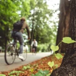 Parco di Monza e Giardini Reali, cambiano gli orari: ecco quando chiudono i cancelli