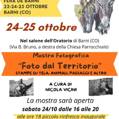 A Barni torna la Fera de Barni 2026: tre giorni tra tradizioni rurali, asinelli, sapori e divertimento 1 Fera de Barni 2026